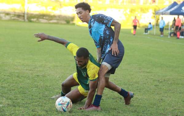 Sorry! Image not available at this time