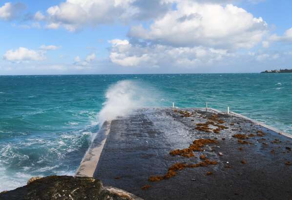 Sorry! Image not available at this time