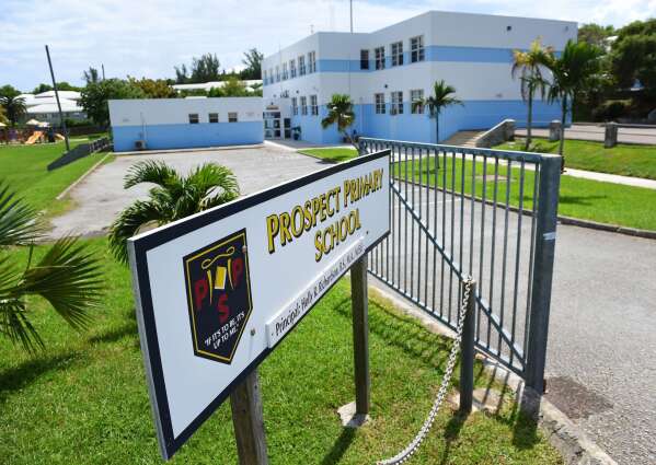 Sorry! Image not available at this time