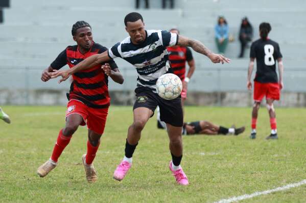 Sorry! Image not available at this time