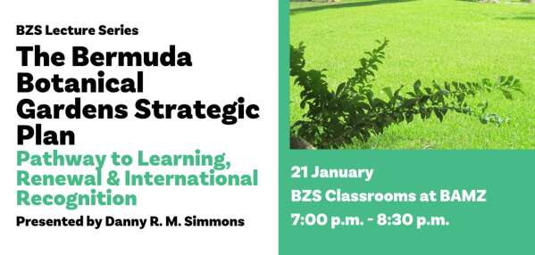 Sorry! Image not available at this time