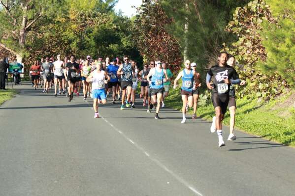 Sorry! Image not available at this time