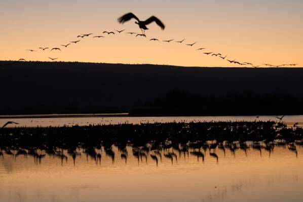 Sorry! Image not available at this time