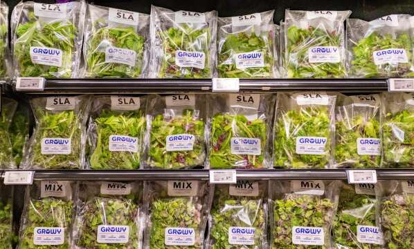 Sorry! Image not available at this time