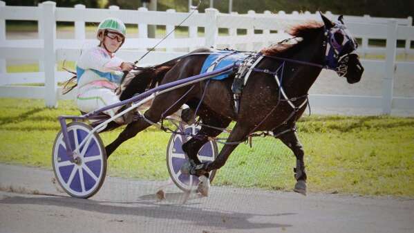 Sorry! Image not available at this time