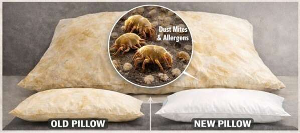 Sorry! Image not available at this time