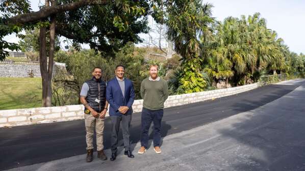 Sorry! Image not available at this time