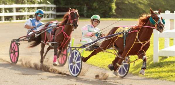 Sorry! Image not available at this time