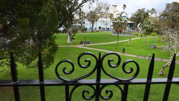 Sorry! Image not available at this time