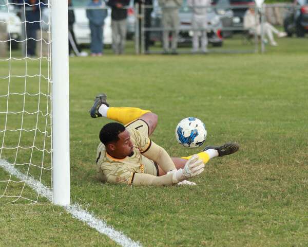 Sorry! Image not available at this time