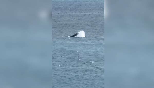 Sorry! Image not available at this time