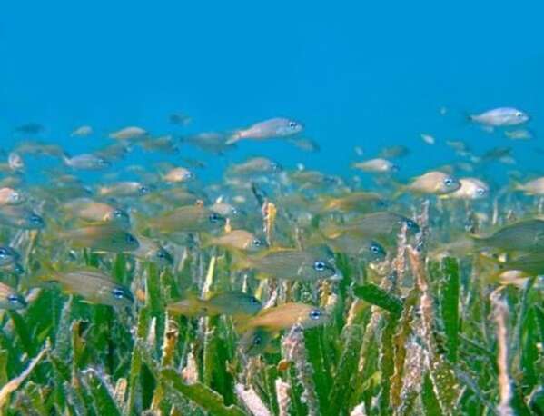 Sorry! Image not available at this time